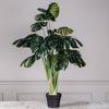 Supergreens Texnito Dentro Monstera 110cm 1880-6