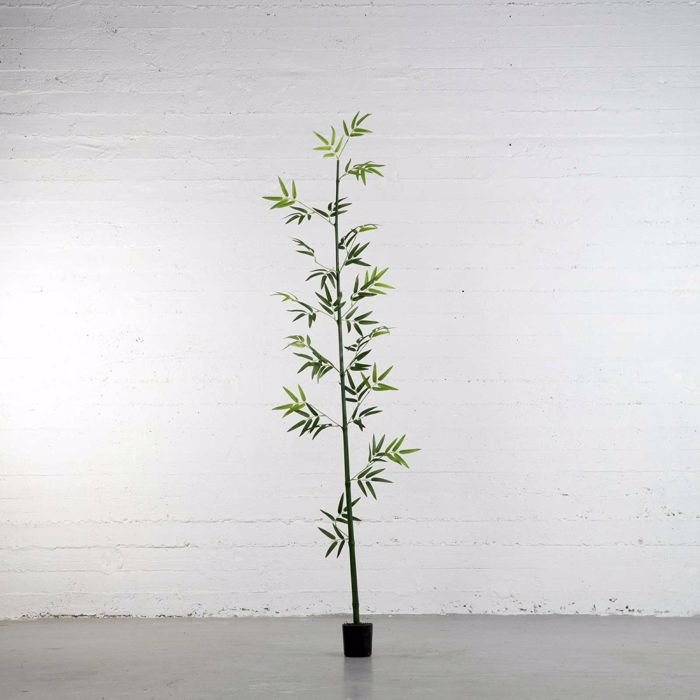Supergreens Texnito Dentro Mono Bampou Lucky 183cm 2240-6