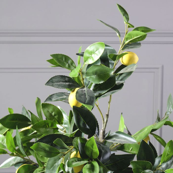 Supergreens Texnito Dentro Lemonia 120cm 5340-6