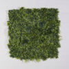 Supergreens Texniti Fullosia Fteri me Fiko ''Floris'' 100x100cm 6291-7