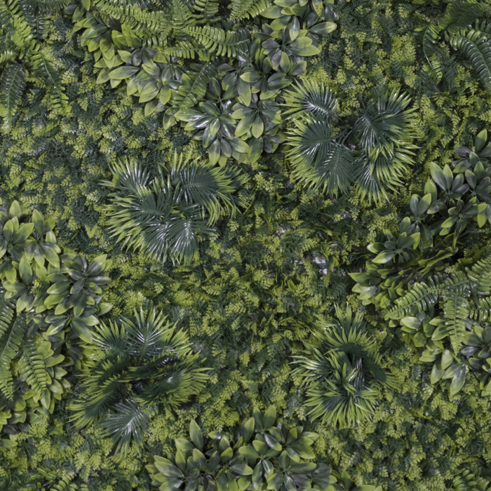 Supergreens Texniti Fullosia Fteri me Fiko ''Floris'' 100x100cm 6291-7
