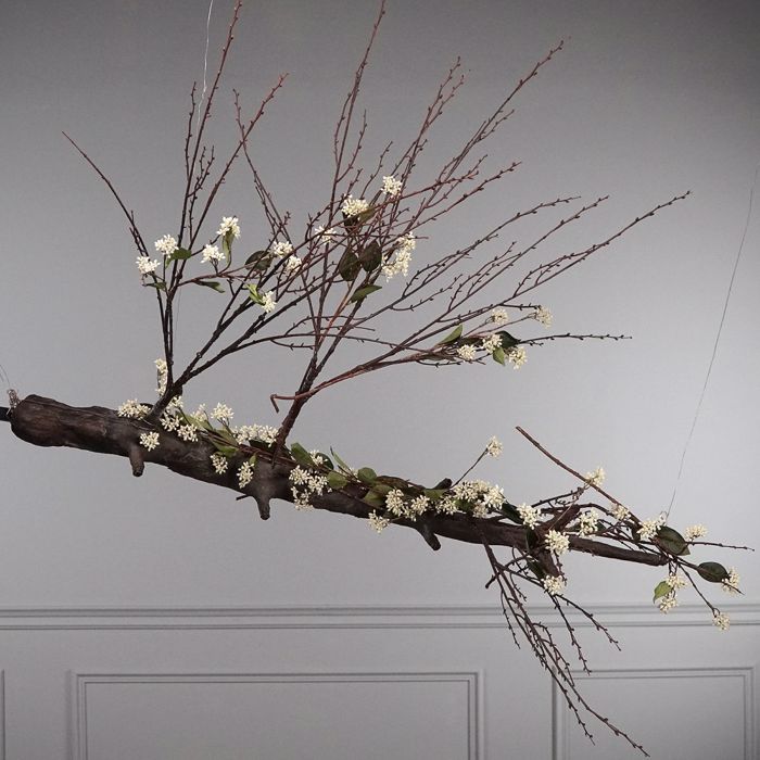 Supergreens Texnito Klonari Mouro Bez 63cm 7601-7