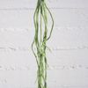 Supergreens Texnito Kremasto Xortari Prasino 110cm 7821-7