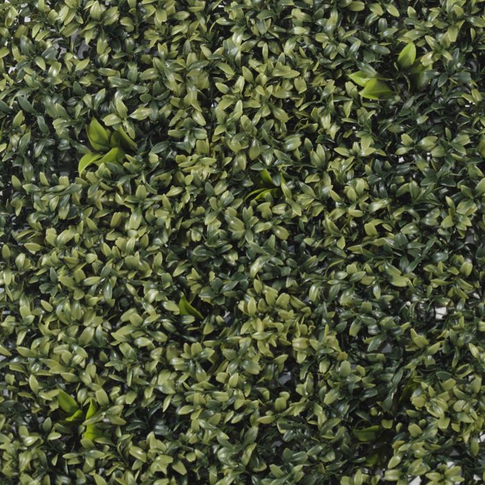 Supergreens Texniti Fullosia Rouskos 50x50cm 9921-7