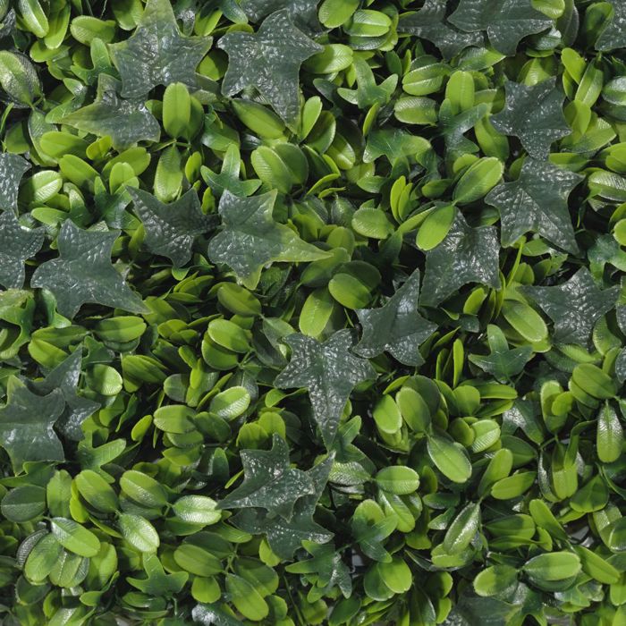 Supergreens Texniti Fullosia Kissos me Fiko 50x50cm 6031-7