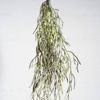 Supergreens Texniti Kremasti Touga Prasini 63cm 0741-7