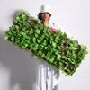 Supergreens Texniti Ptussomeni Fullosia Fikos Benjamin 100x200cm 7351-7