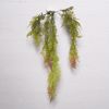 Supergreens Texniti Kremasti Fteri Boston 2-Tone 80cm 8590-7