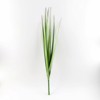 Supergreens Texnitos Xoneftos Papuros ''Cyperus'' Prasinos 88 ek. 0181-7