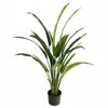 Supergreens Texnito Dentro Pouli tou Paradeisou Strelizia Nicolai 130cm 1350-6