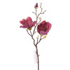 Supergreens Texnito Klonari Manolia Skouro Mob 50cm 1380-7