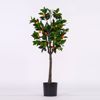 Supergreens Texnito Dentro Portokalia 120cm 2340-6