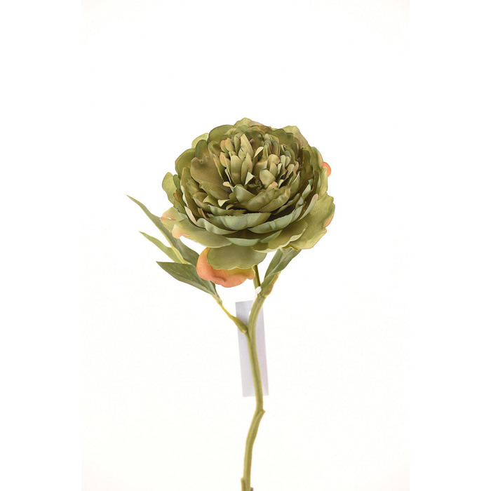 Supergreens Texnito Klonari Paionia Prasini 34cm 3280-7