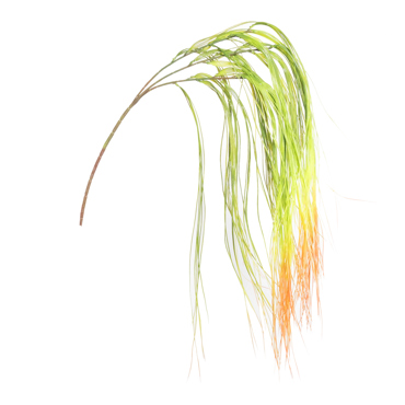 Supergreens Τεχνητό Κρεμαστό Χορτάρι 2-Tone 114cm 4331-7