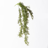 Supergreens Texniti Kremasti Fteri Prasini Skouri 77cm 4361-7