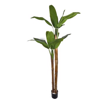 Supergreens Τεχνητό Δέντρο Μπανανιά ''Musa Arbor'' με Διπλό Κορμό Πράσινο 200cm 4411-6