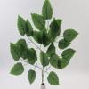 Supergreens Texnito Fullo Fikos Prasino 70 ek. 4671-7