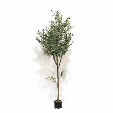 Supergreens Τεχνητό Δέντρο Ελιά ''Mediterra'' Πράσινο 180cm 5990-6