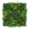 Supergreens Texniti Fullosia Fteri me Fiko ''Floris'' 100x100cm 6291-7