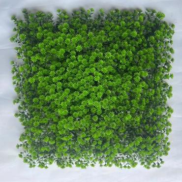 Supergreens Τεχνητή Φυλλωσιά Moss ''Haircap'' Πράσινη 50x50cm 7281-7