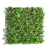 Supergreens Texniti Ptussomeni Fullosia Fikos Benjamin 100x200cm 7351-7