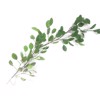 Supergreens Texnito Kladi Efkaluptos Grovevale Prasino 200cm 7881-7