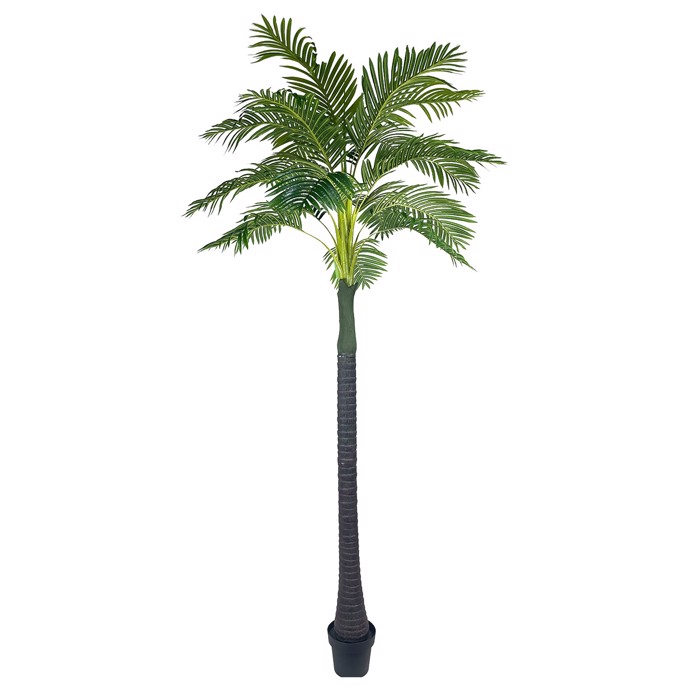 Supergreens Texnito Dentro Areka ''Arborechentis'' Prasino 320cm 8411-6