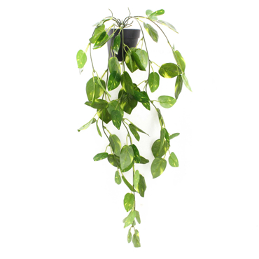 Supergreens Τεχνητό Φυτό Πόθος Πανασέ Πράσινο 63cm 9591-7
