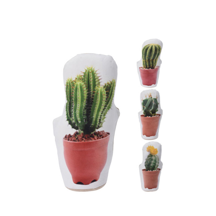 ZAROS STOP PORTAS KAKTOS 4 SXEDIA 15x29cm HM422