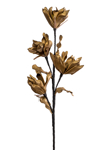 Zen Collection Louloudi Tetraplo Xruso 47320